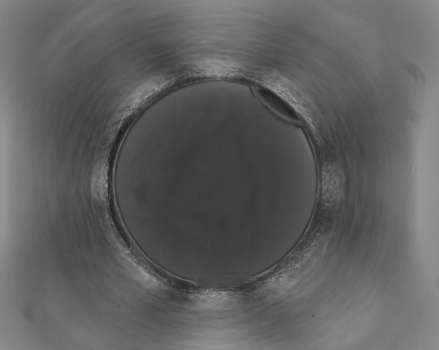 X0000111440581200908241146
