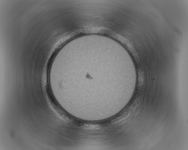 X0000111440582200908241146