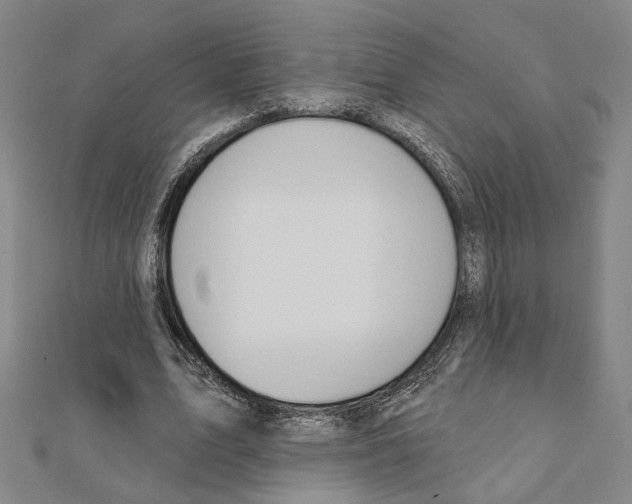 X0000111440583200908241146