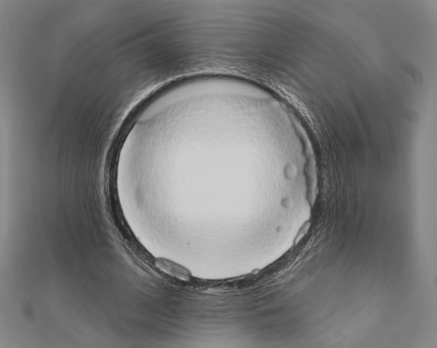 X0000111440584200908241146