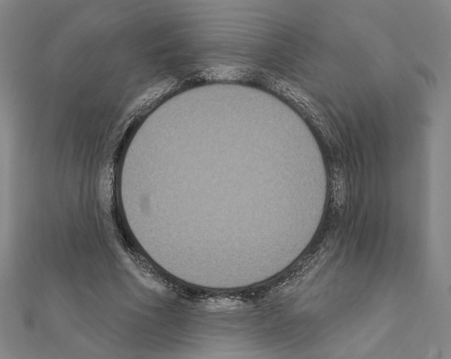 X0000111440586200908241146