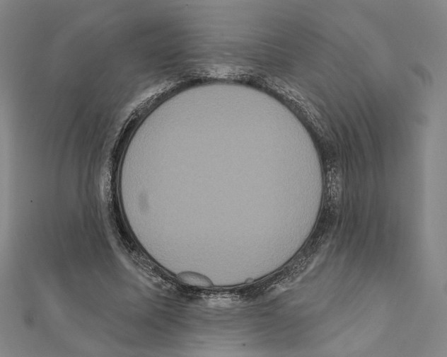 X0000111440587200908241146