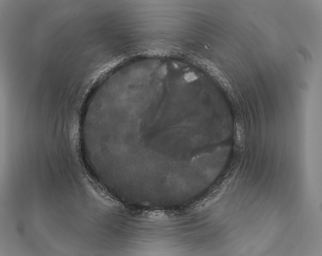 X0000111440588200908241146