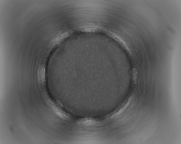 X0000111440589200908241146