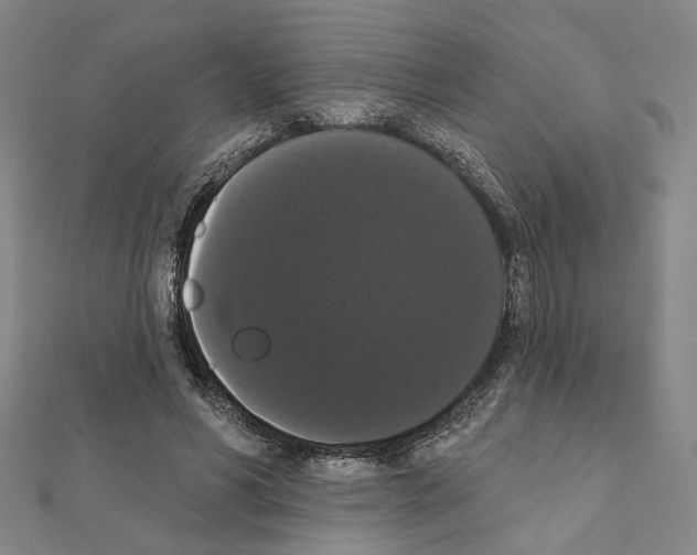 X0000111440590200908241146