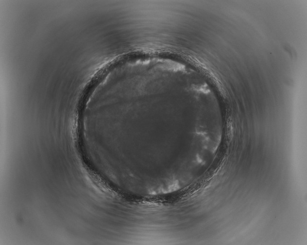 X0000111440592200908241146
