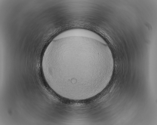 X0000111440593200908241146
