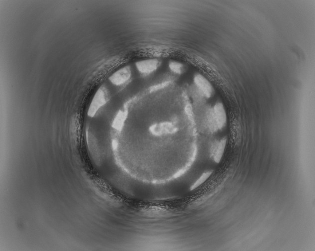 X0000111440594200908241146