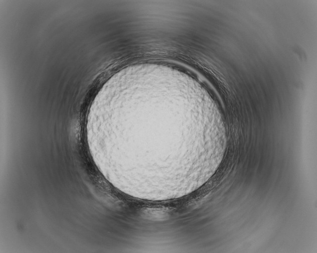 X0000111440595200908241146