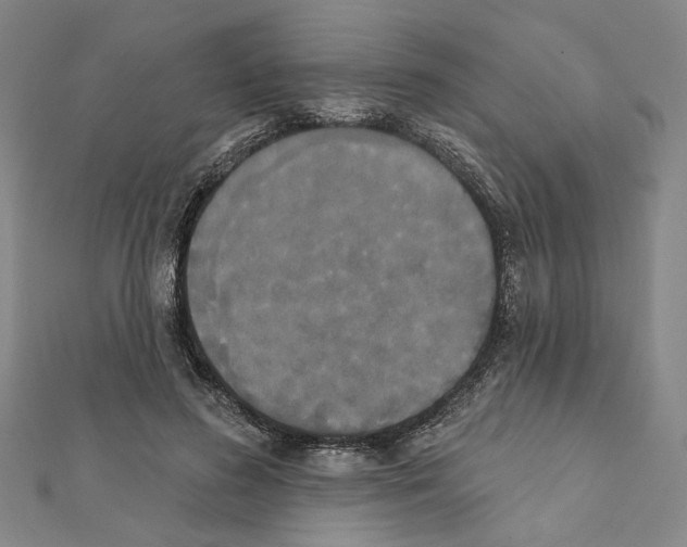 X0000111440596200908241146