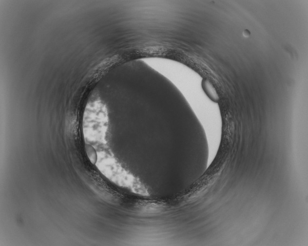 X0000111440597200908241146