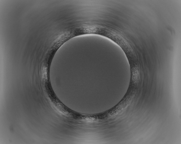 X0000111440598200908241146