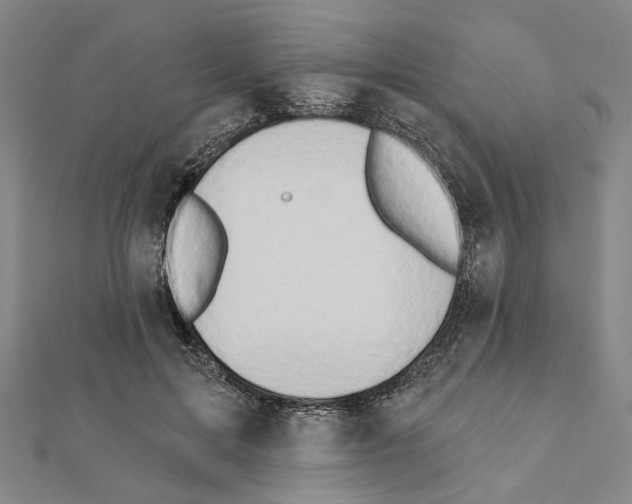 X0000111440599200908241146