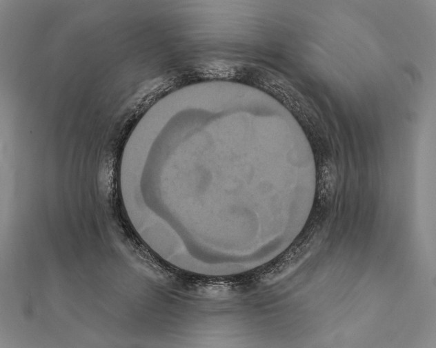 X0000111440600200908241146