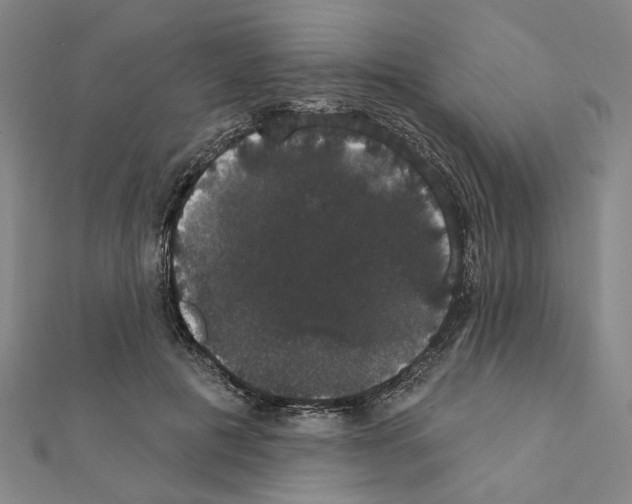 X0000111440601200908241146