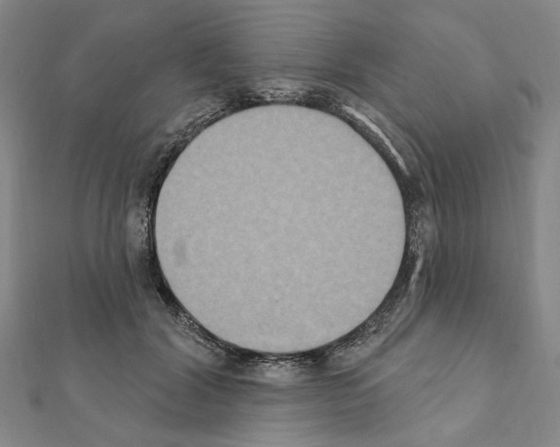 X0000111440604200908241145