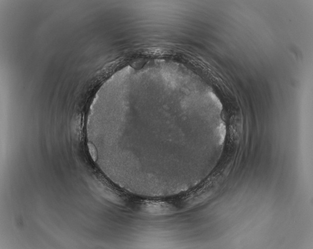 X0000111440605200908241145