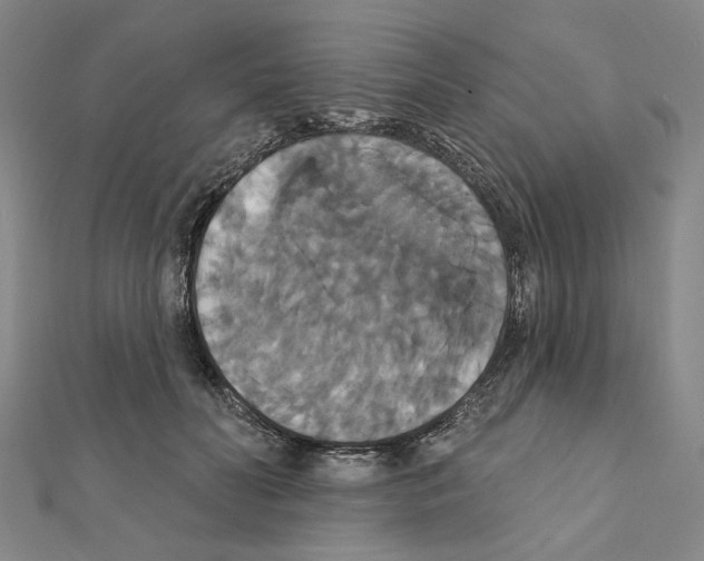 X0000111440606200908241145