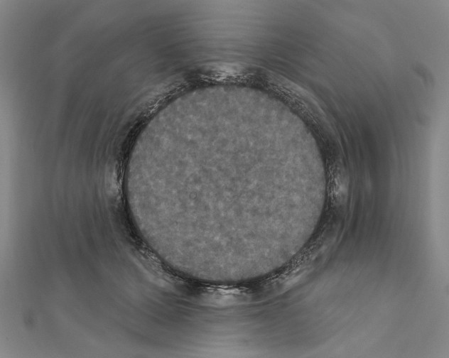 X0000111440607200908241145