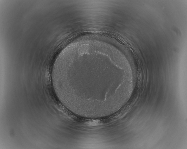 X0000111440609200908241145