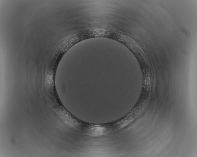 X0000111440610200908241145