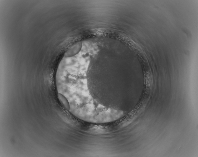 X0000111440611200908241145