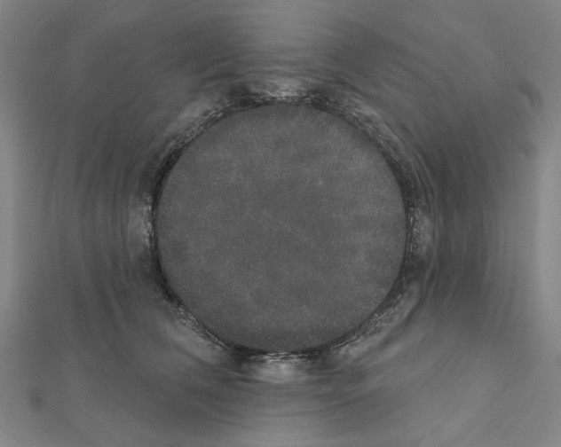 X0000111440612200908241145