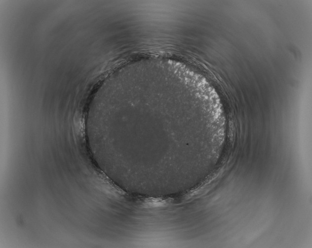 X0000111440613200908241145