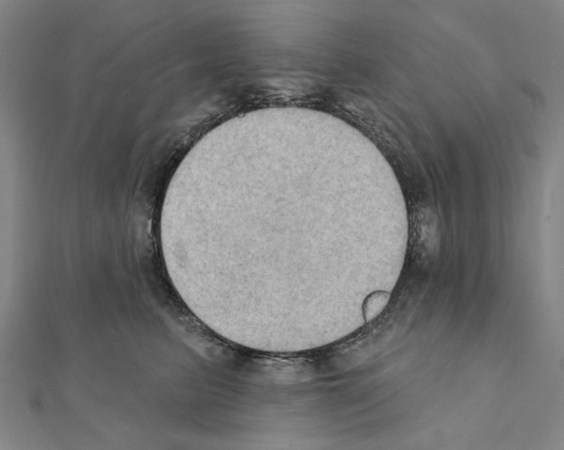 X0000111440615200908241145