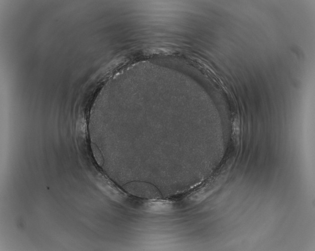 X0000111440617200908241145
