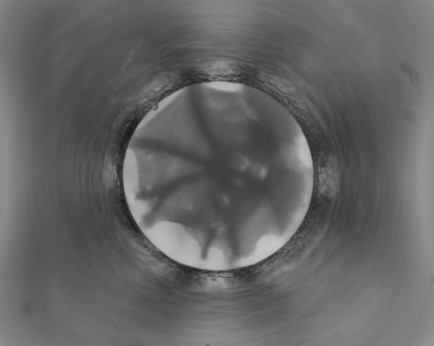 X0000111440618200908241145