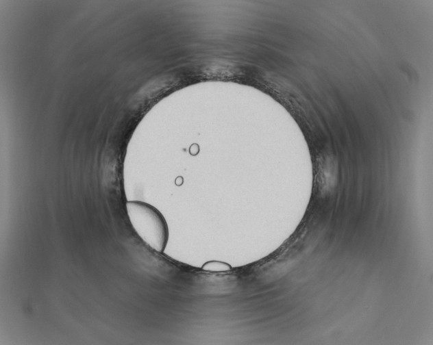 X0000111440619200908241145