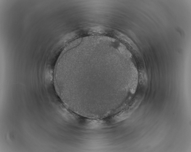 X0000111440621200908241145
