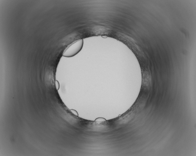 X0000111440622200908241145