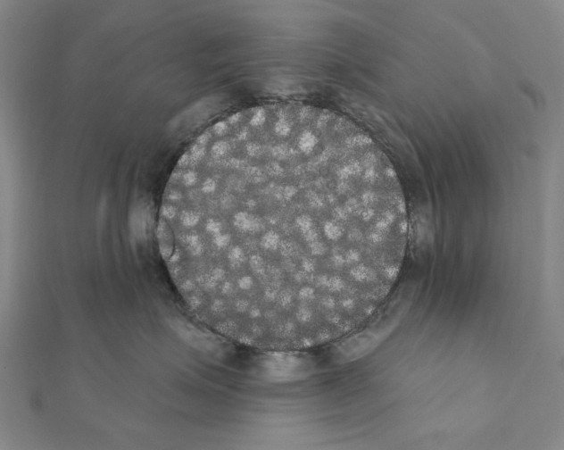 X0000111440623200908241145