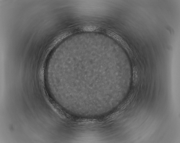 X0000111440626200908241144