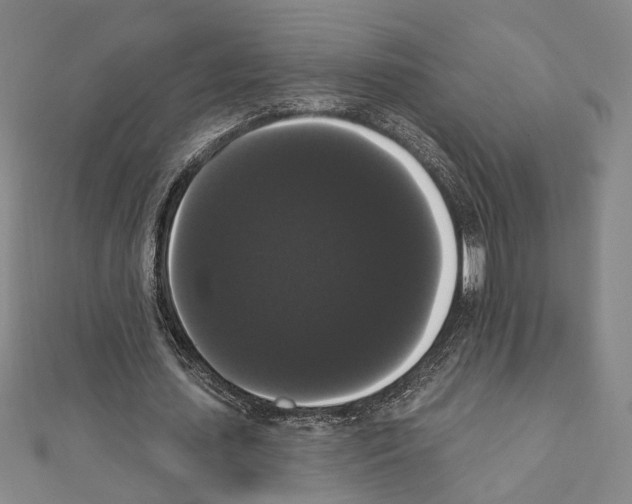 X0000111440627200908241144