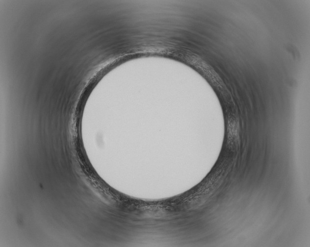 X0000111440628200908241144