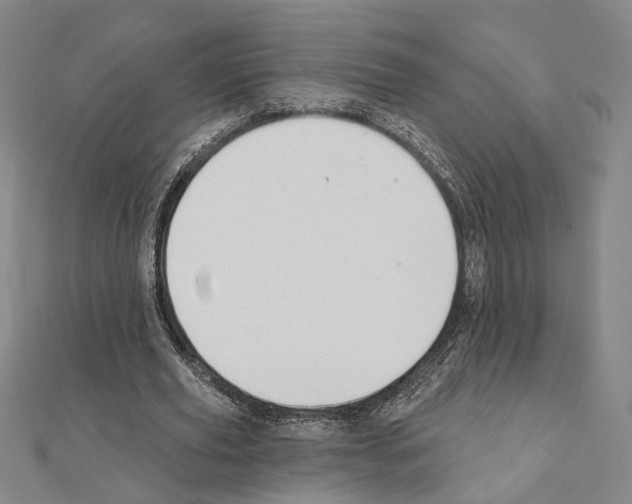 X0000111440629200908241144