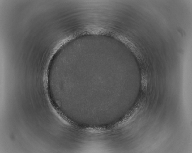 X0000111440630200908241144