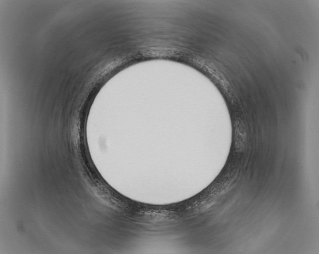 X0000111440631200908241145