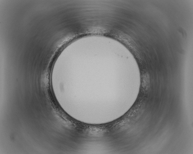 X0000111440632200908241145