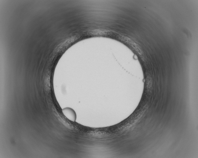 X0000111440633200908241145