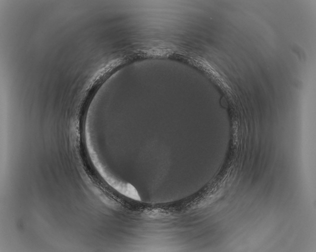 X0000111440634200908241145