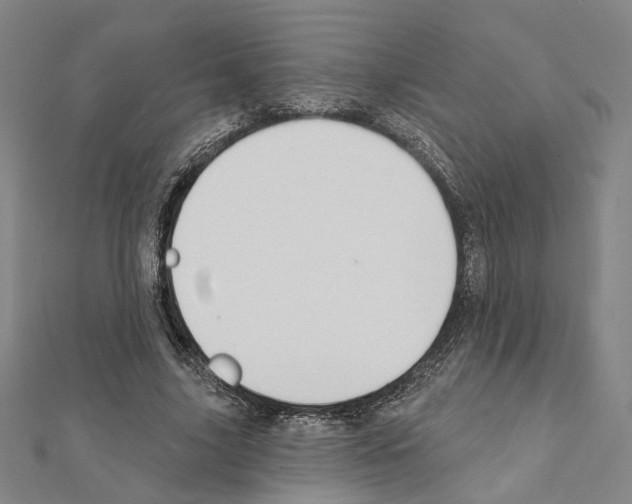 X0000111440635200908241145