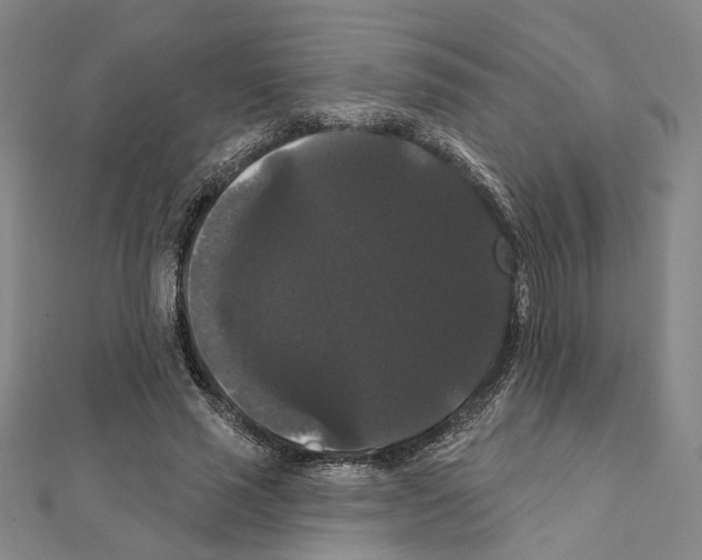 X0000111440637200908241145