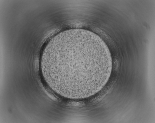 X0000111440638200908241145