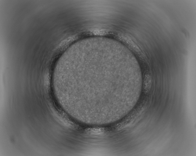 X0000111440639200908241145