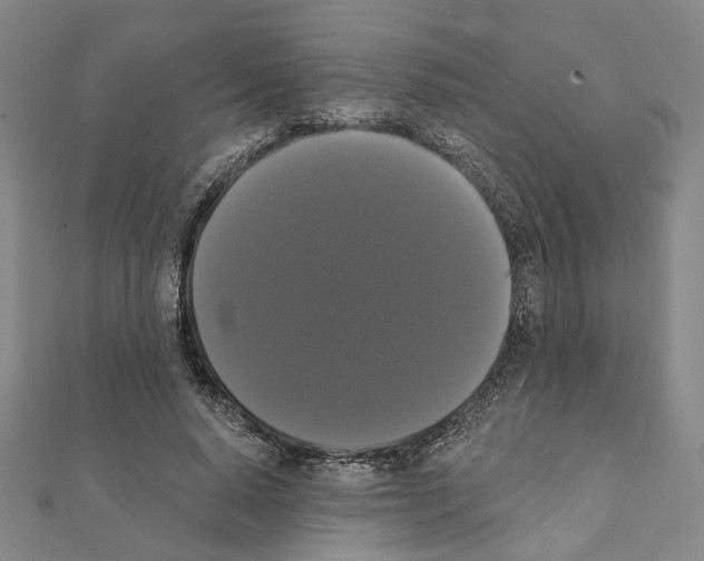 X0000111440640200908241145