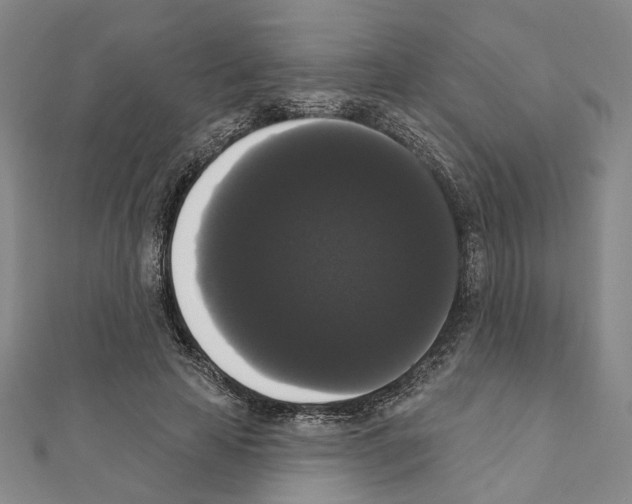 X0000111440641200908241145